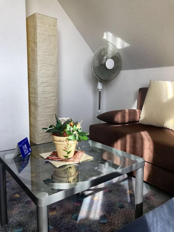 Hotel Seebach Grossenseebach Екстер'єр фото